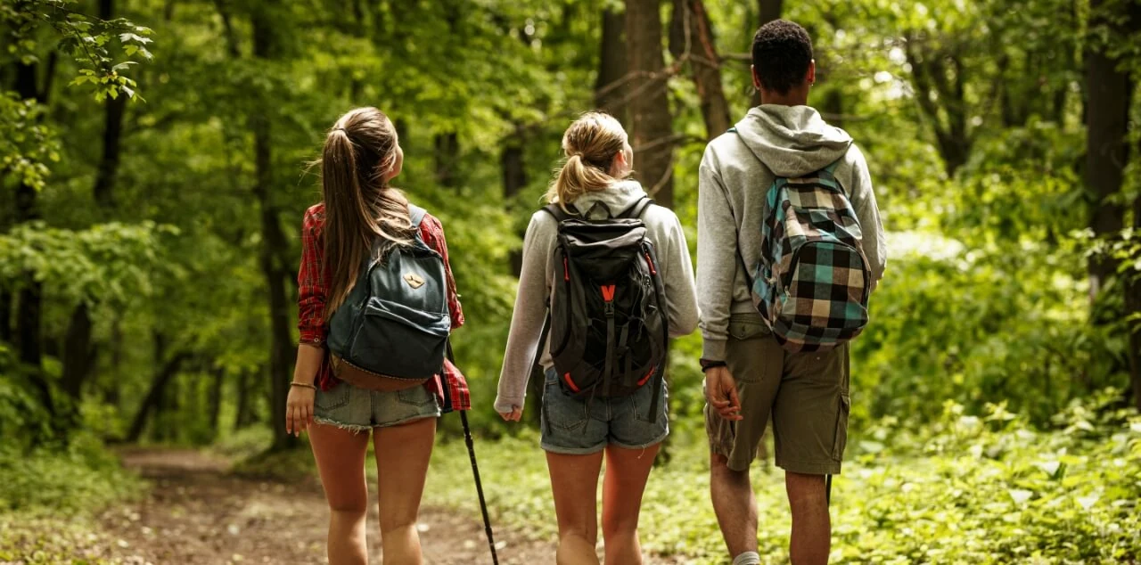 Adults walking together on a forest trail
